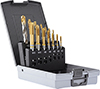 A01017: Assortimento di punte e maschi a macchina in acciaio HSS rivestiti TiN; TKN
