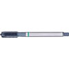 A05569: Maschio a macchina in acciaio HSS-E passo fine DIN 374; FORMAT_GT