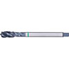 A05570: Maschio a macchina in acciaio HSS-E passo fine DIN 374; FORMAT_GT