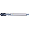A05572: Maschio a macchina in acciaio HSS-E 40° passo fine DIN 374; FORMAT_GT