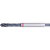 A05615: Maschio a macchina in acciaio HSS-E 40° passo grosso DIN 371-376; FORMAT_GT