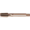 A05670: Maschio a macchina in acciaio HSS-E filettatura conica NPT; FORMAT