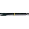 A05679: Maschio a macchina in acciaio HSS-E passo grosso DIN 376 gambo passante; FORMAT