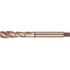 A05690: Maschio a macchina in acciaio HSS-E 40° passo grosso DIN 371-376 per acciaio inox; FORMAT