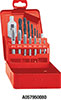 A05795: Assortimento di maschi a mano e punte in acciaio HSS; FORMAT