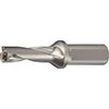 A58210: Punta ad inserti 3x D; TKN