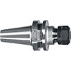 C65425: Mandrino portapinza ER MAS BT 30 BASIC AD; HAIMER