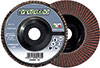 L20100: Corundum bilamellar disk; EVERGREEND