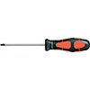 N20235: Giravite per viti con impronta Torx®; FORMAT