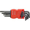 N20290: Serie di chiavi maschio piegate lunghe a testa sferica Torx®; FORMAT