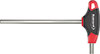 N20950: Chiave maschio esagonale con impugnatura; FORMAT