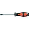 N25205: Giravite per viti con impronta a croce Phillips®; FORMAT