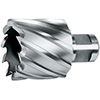 R50250: Fresa a corona in HSS-E attacco weldon; FORMAT