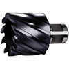 R50251: Fresa a corona in HSS-E attacco weldon; FORMAT