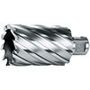 R50252: Fresa a corona in HSS-E attacco weldon; FORMAT