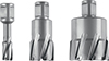 R53006: Fresa a corona in HM serie corta con attacco Weldon 19; FEIN