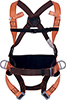 S55022: Two-point safety harness with positioning belt; DELTAPLUS