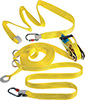S55179: Temporary lifeline; DELTAPLUS