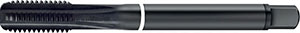 A05290: Maschio a macchina in acciaio HSS-E nitrurato passo grosso DIN 376 per ghise; TKN