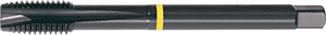 A05679: Maschio a macchina in acciaio HSS-E passo grosso DIN 376 gambo passante; FORMAT