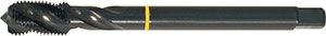 A05755: Maschio a macchina in acciaio HSS-E 40° passo fine DIN 374; FORMAT