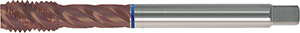 A05766: Maschio a macchina in acciaio HSS-E 40° filettatura GAS DIN 5156 per acciaio inox; FORMAT