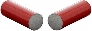 C62470: Magnete permanente in lega alnico; FORTIS
