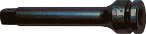 N10902: Prolunga Impact; USAG