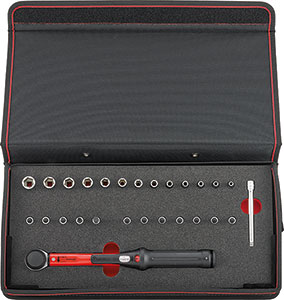 N15238: Assortimento con chiave dinamometrica ed utensili; FORMAT