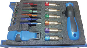 N15384: Assortimento di giravite dinamometrico con inserti; TKN