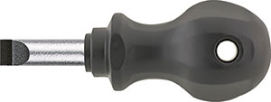 N25045: Giravite per viti con intaglio; FORMAT