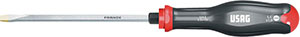 N25076: Giravite per viti con intaglio; USAG