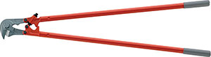 N35353: Tagliafili; FORMAT