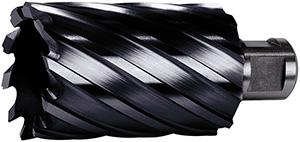 R50253: Fresa a corona in HSS-E serie lunga con attacco Weldon 19; FORMAT