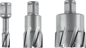 R53007: Fresa a corona in HM serie lunga con attacco Weldon 19; FEIN